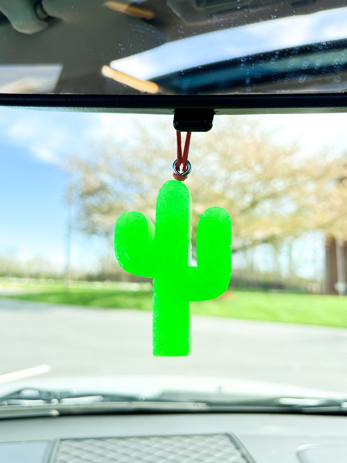 Cactus Freshie
