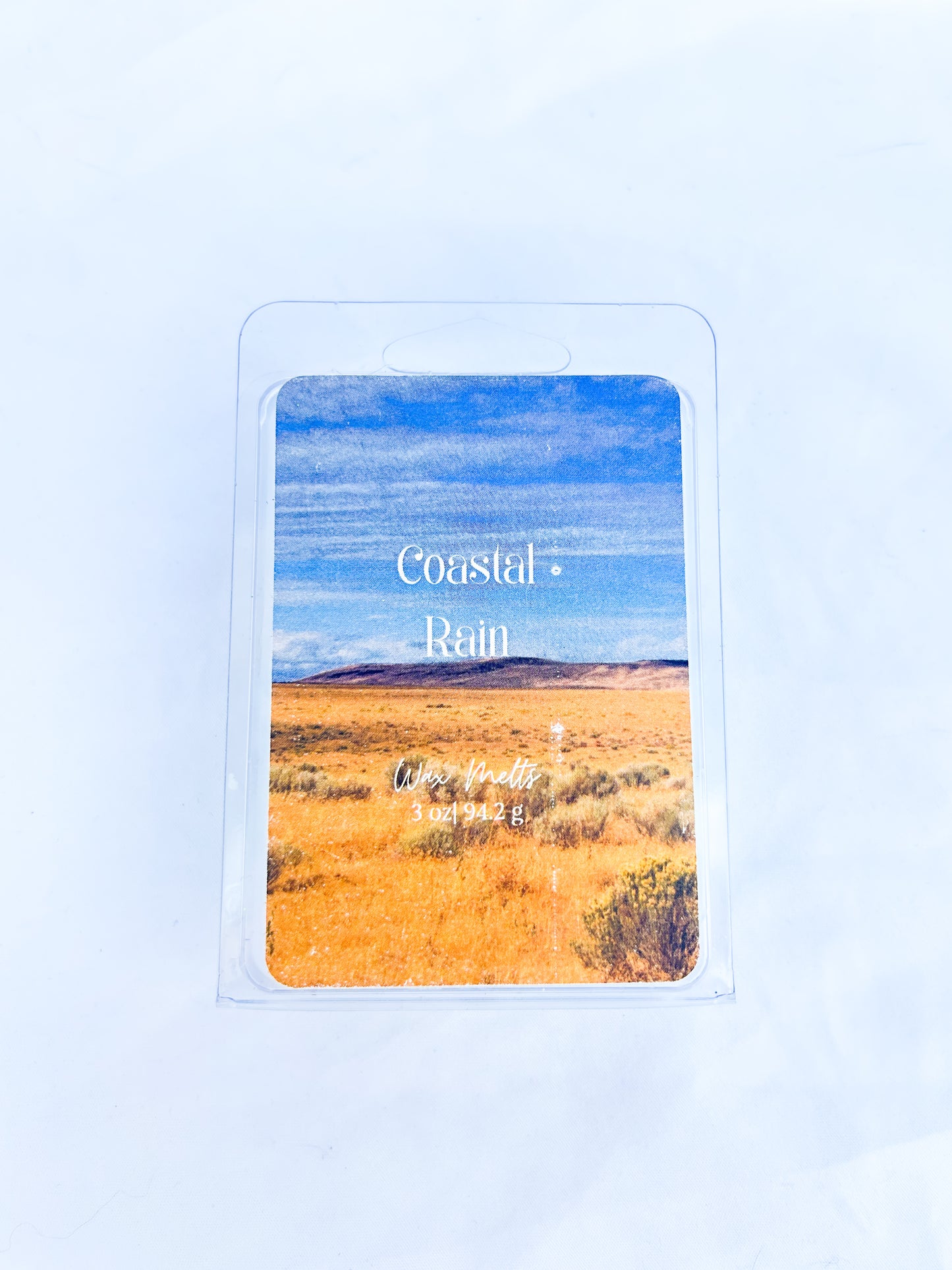 Coastal Rain Scented Wax Melt