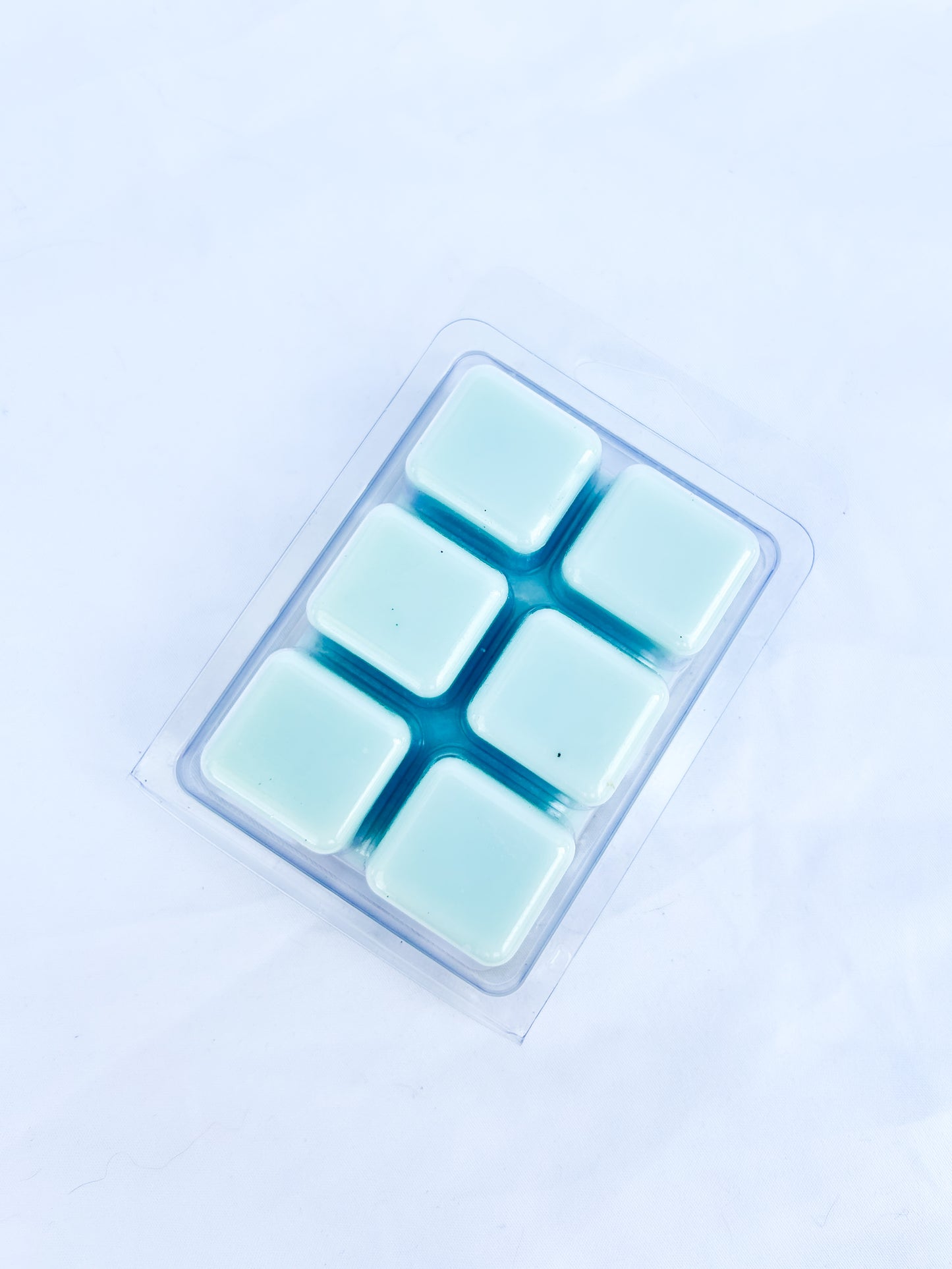 Coastal Rain Scented Wax Melt
