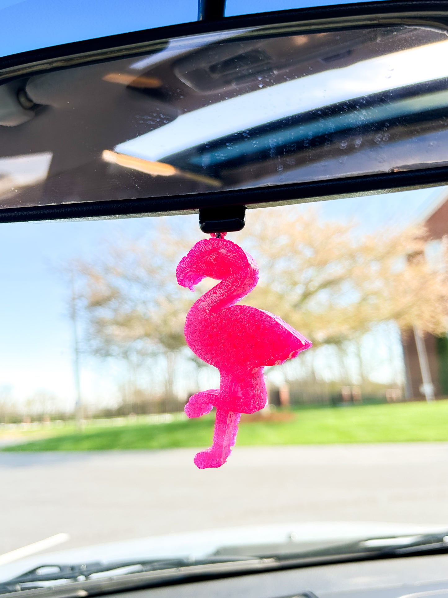 Flamingo Freshie