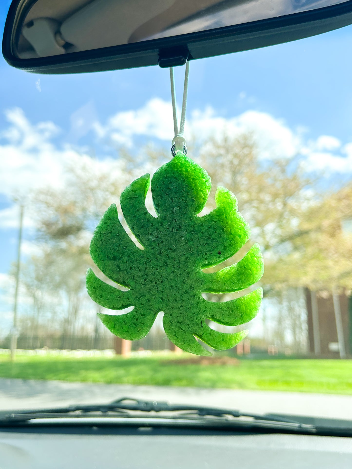Monstera Leaf Freshie