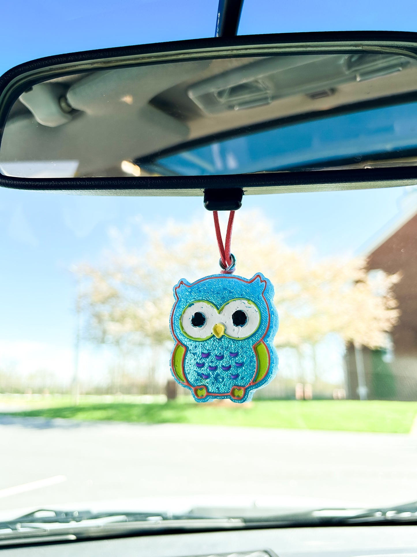 Owl Small Freshie
