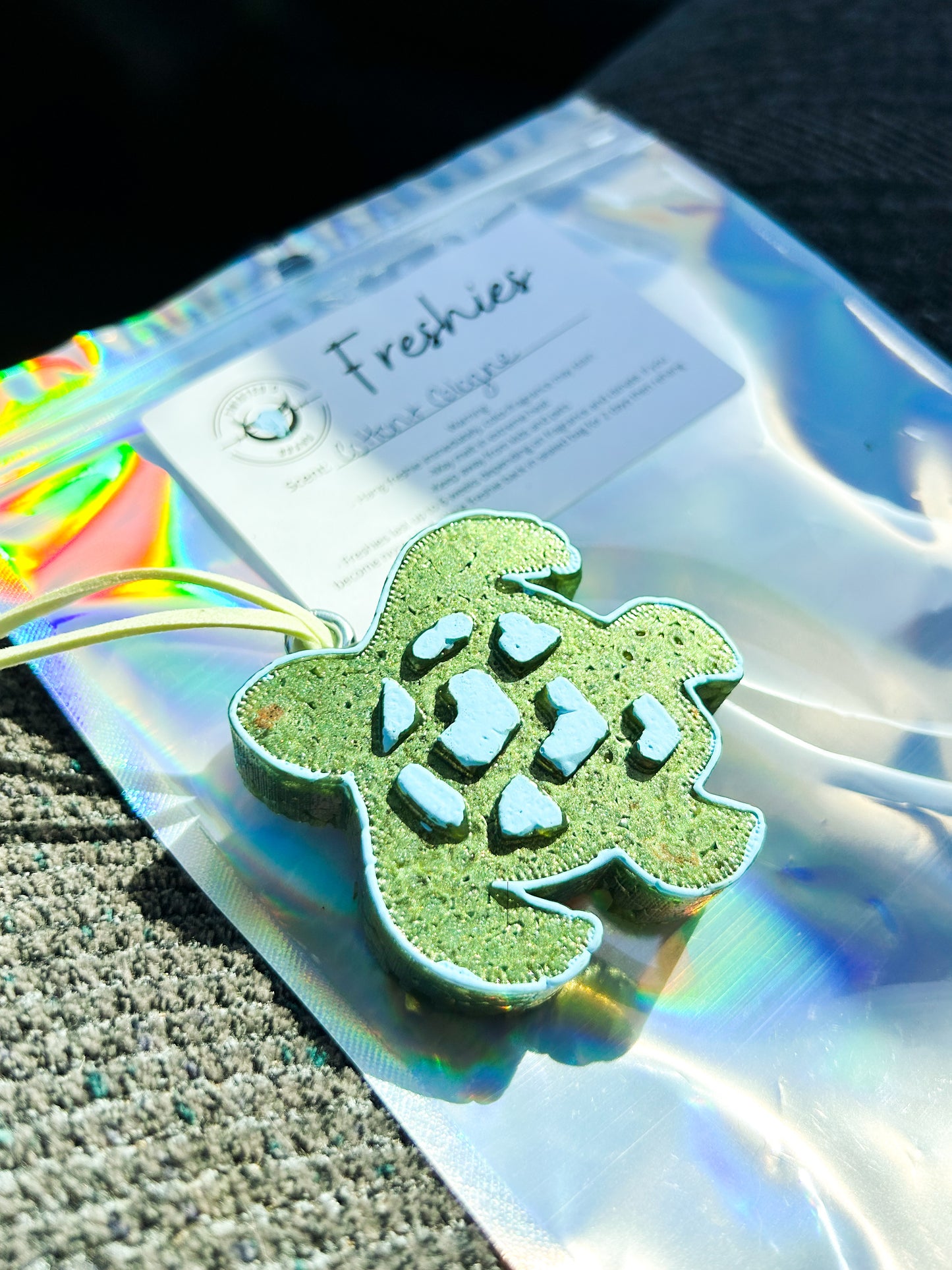 Turtle Freshie