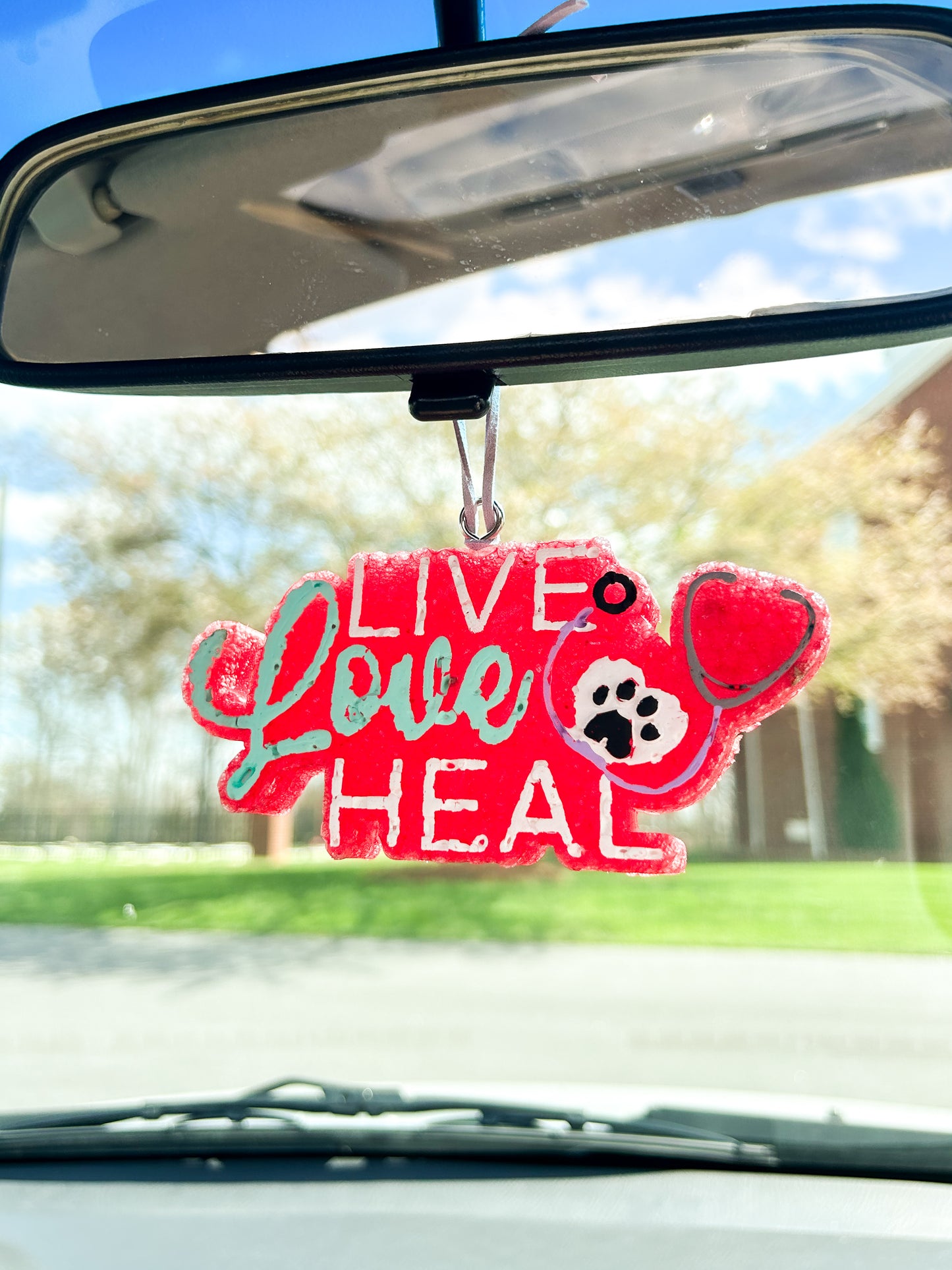Vet Tech Heal